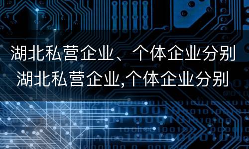 湖北私营企业、个体企业分别 湖北私营企业,个体企业分别是什么