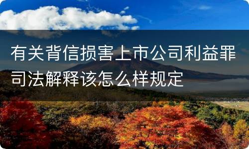 有关背信损害上市公司利益罪司法解释该怎么样规定