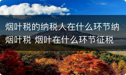 烟叶税的纳税人在什么环节纳烟叶税 烟叶在什么环节征税