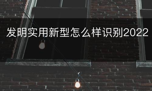 发明实用新型怎么样识别2022