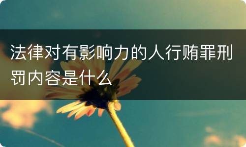 法律对有影响力的人行贿罪刑罚内容是什么