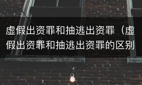 虚假出资罪和抽逃出资罪（虚假出资罪和抽逃出资罪的区别）