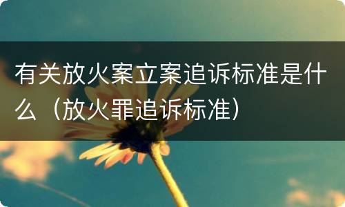 有关放火案立案追诉标准是什么（放火罪追诉标准）