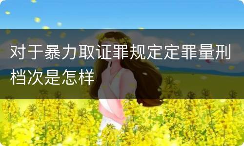 对于暴力取证罪规定定罪量刑档次是怎样