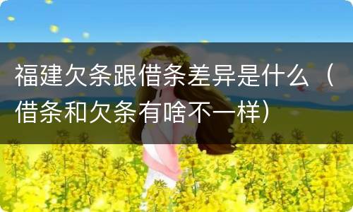 福建欠条跟借条差异是什么（借条和欠条有啥不一样）