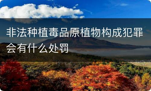非法种植毒品原植物构成犯罪会有什么处罚