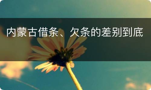 内蒙古借条、欠条的差别到底