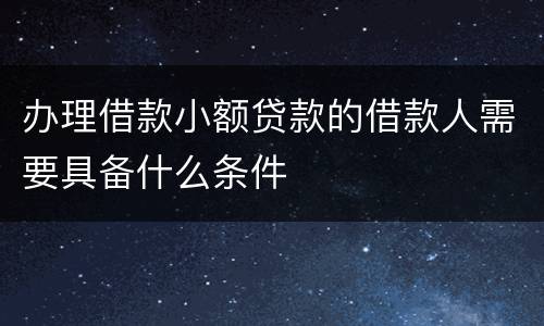 办理借款小额贷款的借款人需要具备什么条件