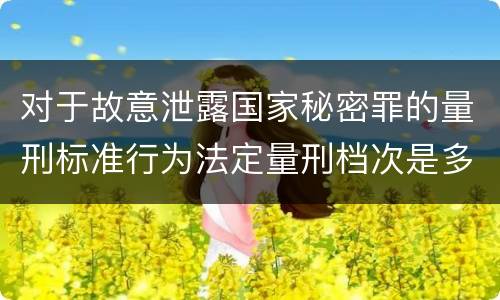 对于故意泄露国家秘密罪的量刑标准行为法定量刑档次是多少