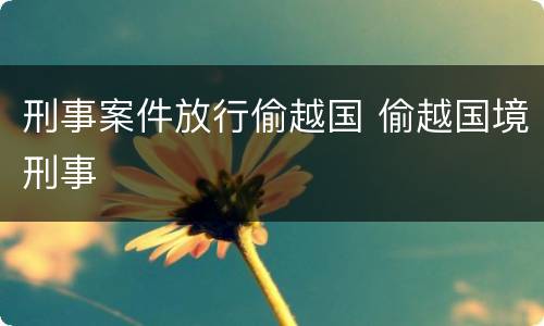 刑事案件放行偷越国 偷越国境刑事