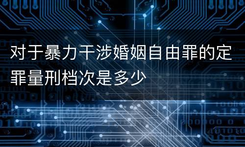 对于暴力干涉婚姻自由罪的定罪量刑档次是多少