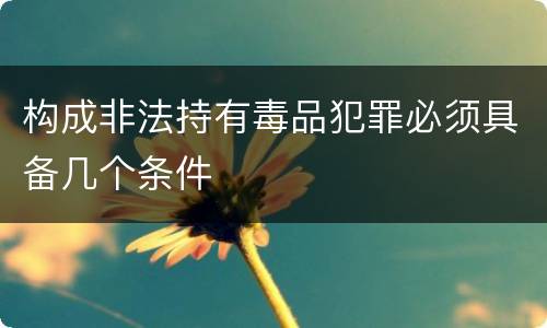 构成非法持有毒品犯罪必须具备几个条件