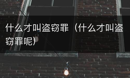 什么才叫盗窃罪（什么才叫盗窃罪呢）
