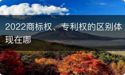 2022商标权、专利权的区别体现在哪