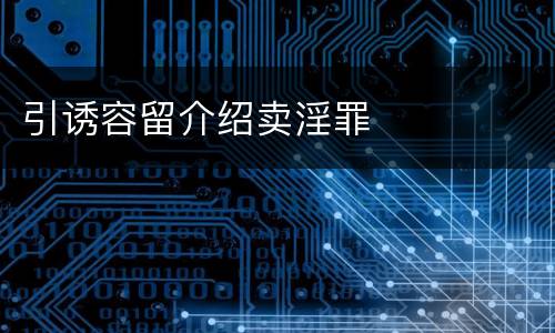 引诱容留介绍卖淫罪