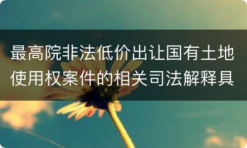 最高院非法低价出让国有土地使用权案件的相关司法解释具体有哪些重要内容