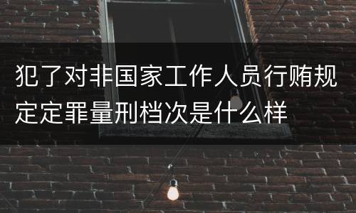 犯了对非国家工作人员行贿规定定罪量刑档次是什么样