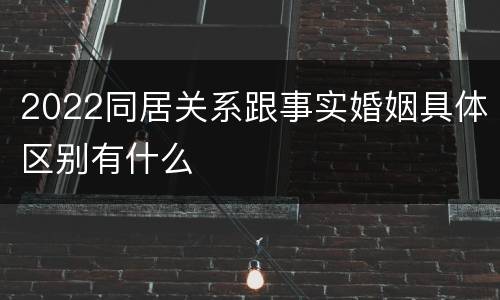 2022同居关系跟事实婚姻具体区别有什么