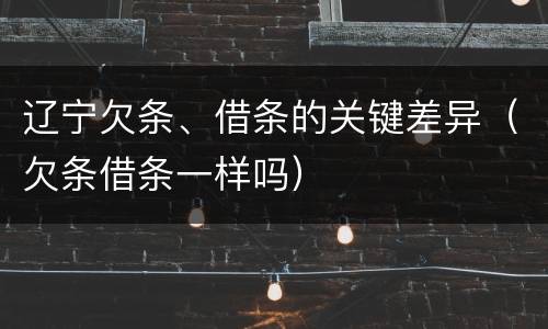 辽宁欠条、借条的关键差异（欠条借条一样吗）