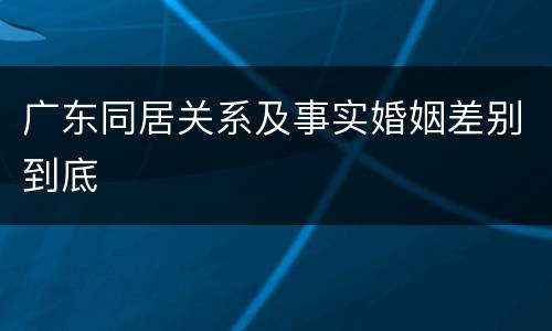 广东同居关系及事实婚姻差别到底
