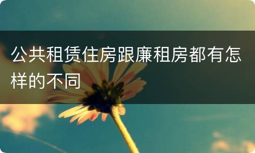 公共租赁住房跟廉租房都有怎样的不同
