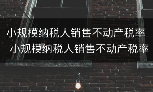 小规模纳税人销售不动产税率 小规模纳税人销售不动产税率是多少