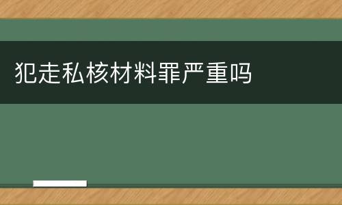 犯走私核材料罪严重吗