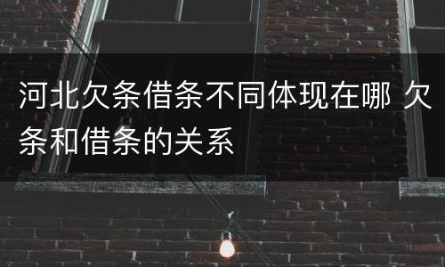 河北欠条借条不同体现在哪 欠条和借条的关系