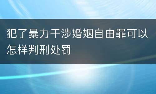 犯了暴力干涉婚姻自由罪可以怎样判刑处罚