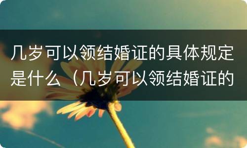 几岁可以领结婚证的具体规定是什么（几岁可以领结婚证的具体规定是什么意思）