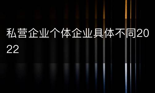 私营企业个体企业具体不同2022