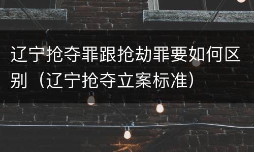 辽宁抢夺罪跟抢劫罪要如何区别（辽宁抢夺立案标准）