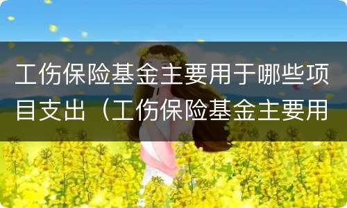 工伤保险基金主要用于哪些项目支出（工伤保险基金主要用于哪些项目支出费用）