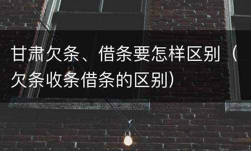 甘肃欠条、借条要怎样区别（欠条收条借条的区别）