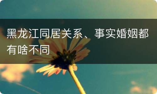 黑龙江同居关系、事实婚姻都有啥不同