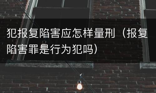 犯报复陷害应怎样量刑（报复陷害罪是行为犯吗）