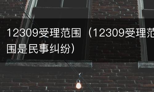 12309受理范围（12309受理范围是民事纠纷）