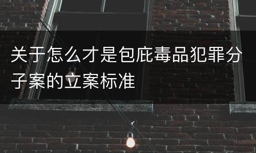 关于怎么才是包庇毒品犯罪分子案的立案标准