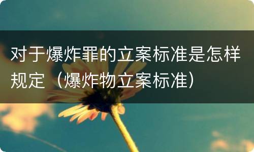 对于爆炸罪的立案标准是怎样规定（爆炸物立案标准）