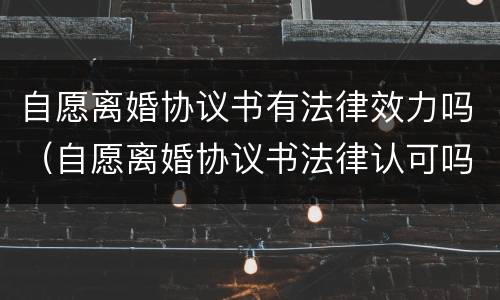 自愿离婚协议书有法律效力吗（自愿离婚协议书法律认可吗）