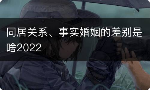 同居关系、事实婚姻的差别是啥2022
