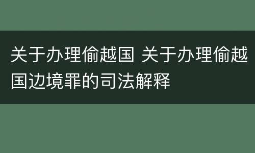 关于办理偷越国 关于办理偷越国边境罪的司法解释