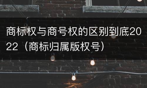 商标权与商号权的区别到底2022（商标归属版权号）