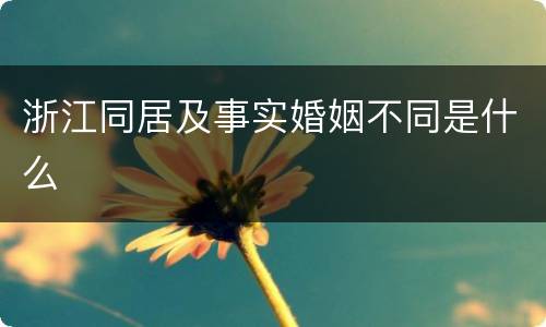 浙江同居及事实婚姻不同是什么