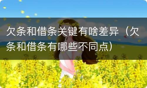 欠条和借条关键有啥差异（欠条和借条有哪些不同点）