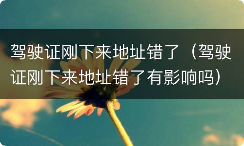 驾驶证刚下来地址错了（驾驶证刚下来地址错了有影响吗）