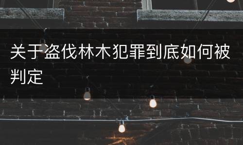 关于盗伐林木犯罪到底如何被判定