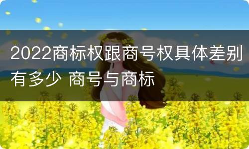 2022商标权跟商号权具体差别有多少 商号与商标
