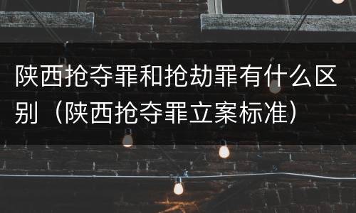 陕西抢夺罪和抢劫罪有什么区别（陕西抢夺罪立案标准）