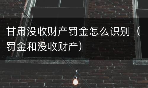 甘肃没收财产罚金怎么识别（罚金和没收财产）